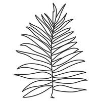 Palm Leaf Continuous One Line Drawing vector