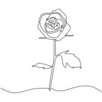 Rose Continuous Line Drawing Botanical Art vector