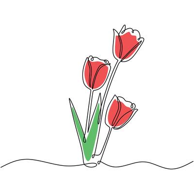 Tulip Flower Continuous One Line Art