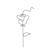 Rose Botanical Concept One Line drawing vector