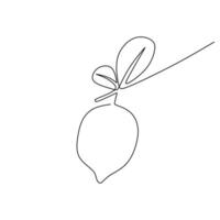 Healthy Lime Lemon Continuous Drawing drawing vector