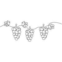 Minimalist Grape Fruit Single Outline Art vector