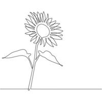 Sunflower Continuous Outline Line Art Illustration vector