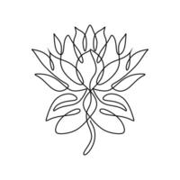 Continuous Line Drawing of Lotus Flower vector