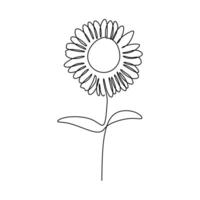Isolated Sunflower Line Art Continuous Outline vector