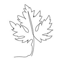 Maple Leaf One Continuous Line Art vector