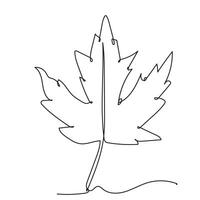 Single Line Art Drawing Maple Leaf vector