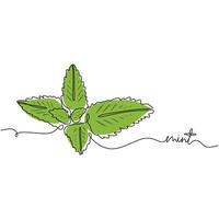 Mint Spearmint Continuous Line Art for Label vector