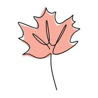 Maple Leaf Continuous Line Drawing Minimalist vector