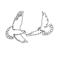 Dove Couple Continuous One Line Drawing vector