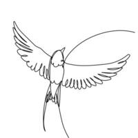 Flying Swallow Continuous Outline Drawing vector