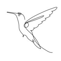 Hummingbird Flying Continuous Line Art Drawing vector