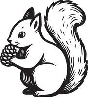 Squirrel Gnawing Pinecone Sketch. vector