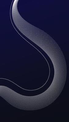 simple and unique background with wireframe art