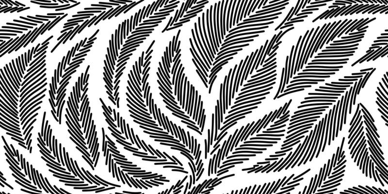 Black and white pattern with spruce needles. Winter linear botanical pattern. Line illustration with Christmas tree branches and leaves on white background. Pine needles texture