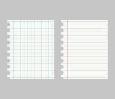 Set of realistic illustrations of a torn sheet of paper from a workbook with shadow, isolated on a gray background vector