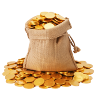 A bag with coins and a stack of blank golden coins on a transparent background. png
