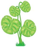 Indoor plant in flat style. Simple green leaves with light texture and minimal vector