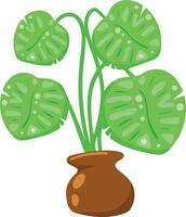 Indoor houseplant in a pot. Tropical leaves in flat cartoon style. vector