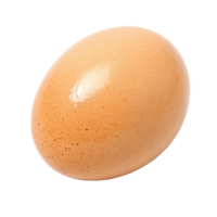 Single brown chicken egg isolated on transparent background png