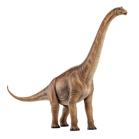 Brachiosaurus dinosaur standing on transparent background png