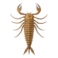Eurypterus remipes fossil isolated on transparent background showing claws and segmented body png