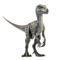 Velociraptor dinosaur standing on transparent background png