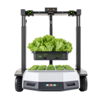 Automated farming robot lifting fresh lettuce in vertical farm on transparent background png