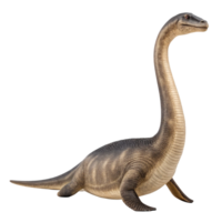 Plesiosaurus dinosaur posing on transparent background png