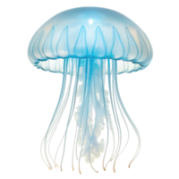 Bioluminescent jellyfish with transparent bell floating on transparent background png