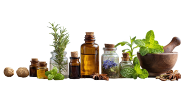 Fresh herbs and essential oils creating natural remedies with transparent background png