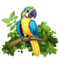 Parrot on a branch art on transparent background png