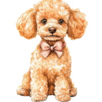 A poodle with bow tie on transparent background png