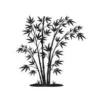 silhouette of bamboo tree on transparent background vector