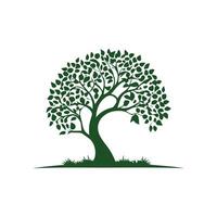 a tree with leaves on white background vector