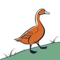 a cartoon duck standing on a field vector