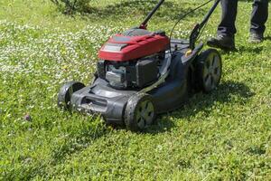 Mowing the lawn with a machine in a garden photo