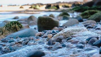 Close-up view of colorful wet pebbles and smooth stones on a beach shoreline with shallow water gently flowing between them photo