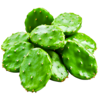 Green Prickly Pear Cactus Pads Close Up on for Culinary Use png