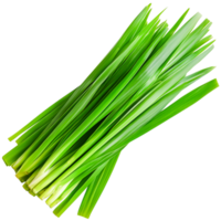 Fresh Green Leeks with Vibrant Leaves for Culinary Use png