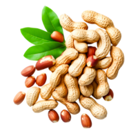 Fresh Raw Peanuts in Shell with Leaves and Shelled Peanuts on png