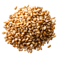 closeup View of Raw Toasted Sesame Seeds on for Culinary Use png