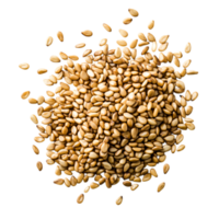 High-Quality closeup of Raw Sesame Seeds for Culinary Use png