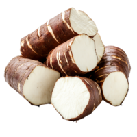 Fresh Raw Yucca Roots for Culinary and Health Use png