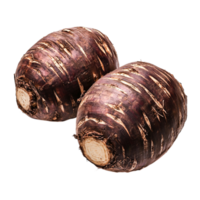 Fresh and Organic Purple Turnips with Unique Texture and Color for Culinary Use png