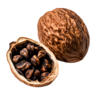 Detailed closeup of an Open Walnut Shell with Dark Brown Edible Seed Inside png