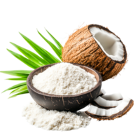 Fresh Coconut Ingredients with Coconut Shell and Coconut Flakes on png