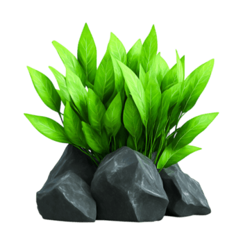 exuberante verde folhas emergente a partir de Sombrio pedras dentro uma vibrante natural configuração png