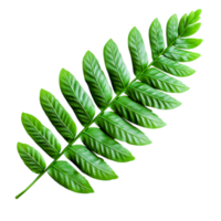Lush Green Leaf with Intricate Texture and Detail png