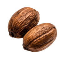 Brown Whole Nut with Detailed Texture for Culinary and Decorative Applications png